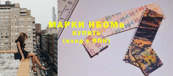 МДПВ Бородино