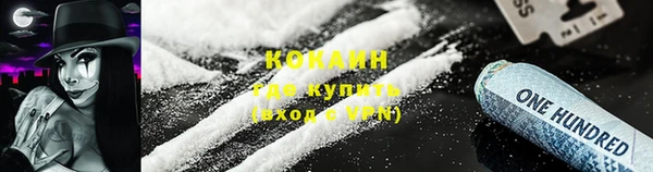МДПВ Бородино