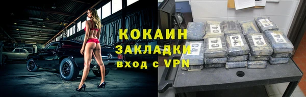 шишки Бердск